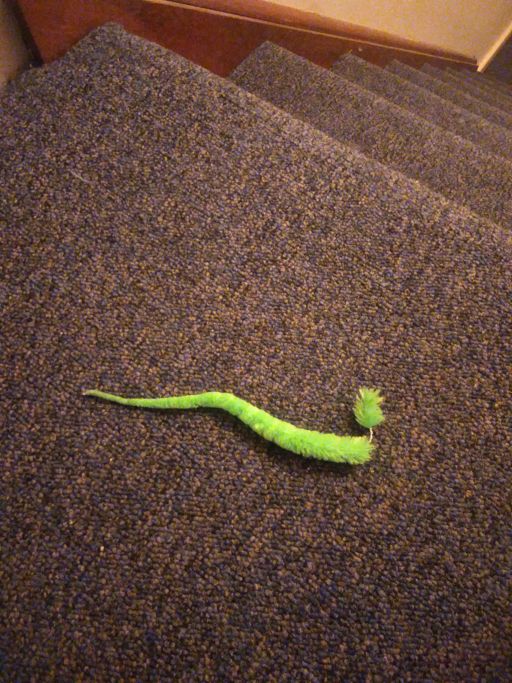 The wrecked toy after she finished.