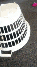 Pixie successfully launching herself from under the basket.