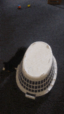 Pixie playing with the first toy next to the basket, accidentally tipping herself over onto her back.