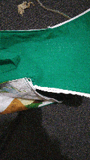 Pixie playing in an insulated shopping bag.