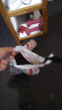 Pixie running out of the bag while I try to pick it up.